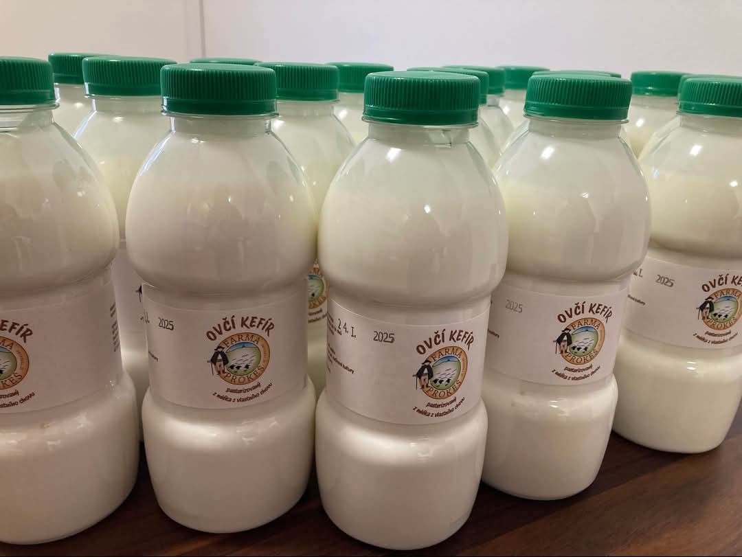 Ovčí kefir