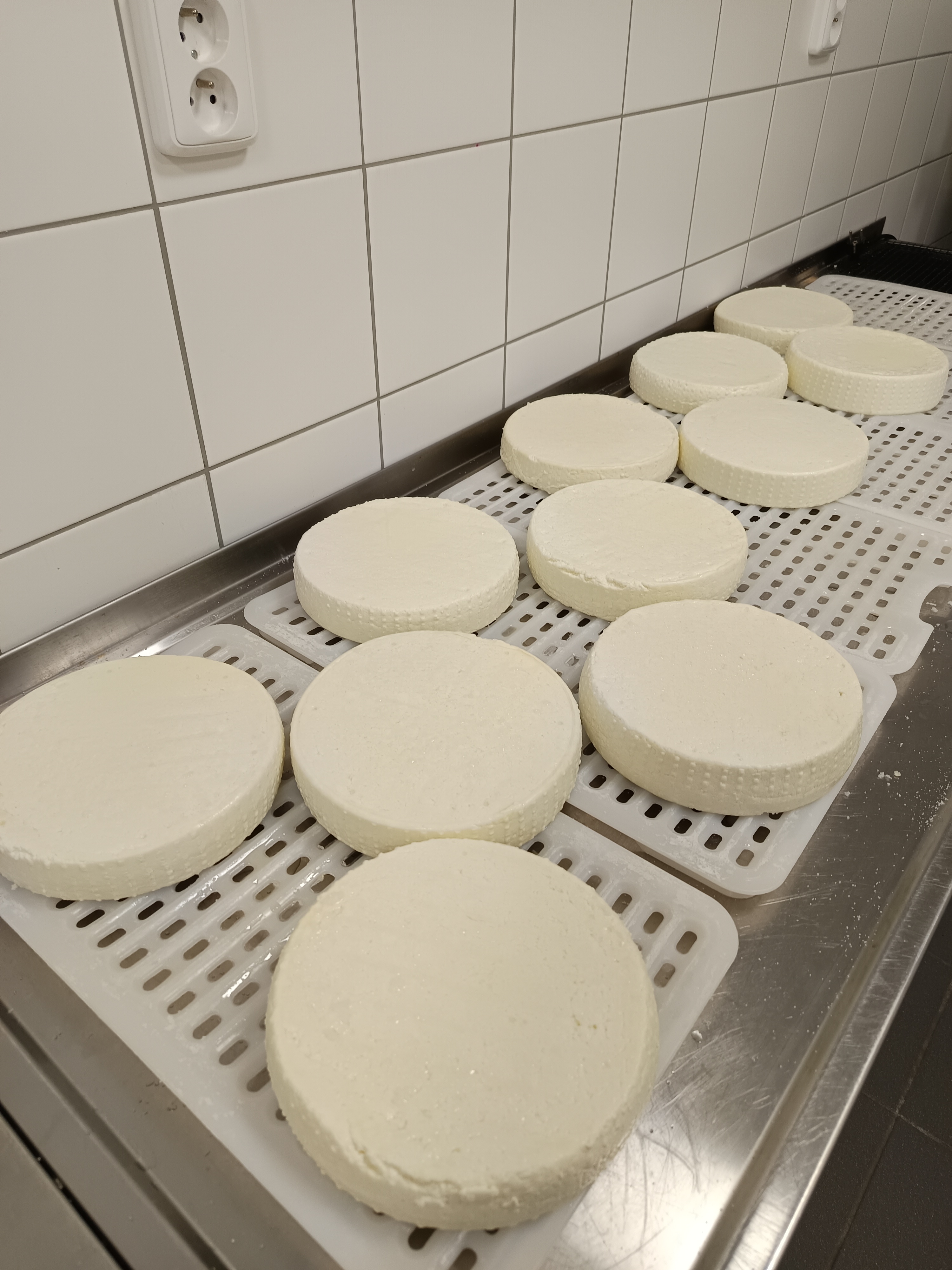 Čerstvý ovčí sýr s bylinkami