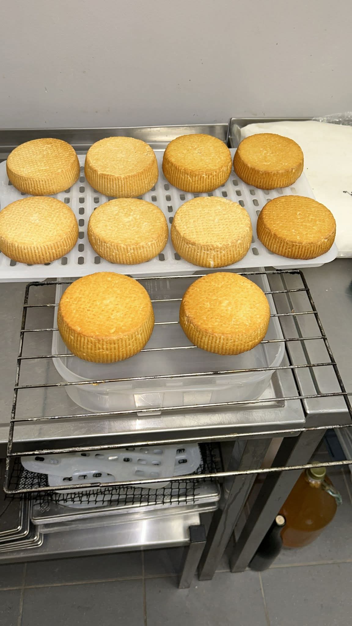 Čerstvý ovčí sýr uzený 