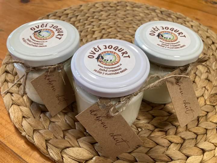 Ovčí jogurt